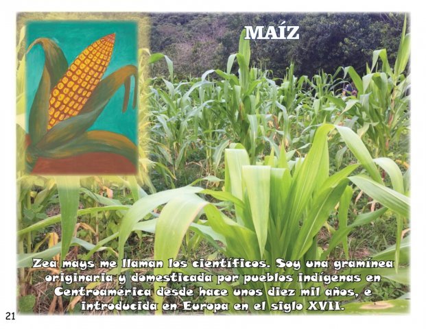 MATERIALES GRÁFICOS RECONCILIACIÓN